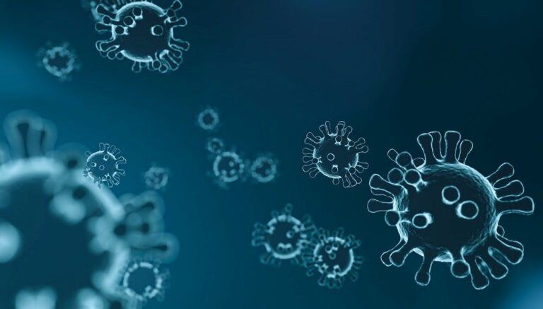 abdde boynuzlu tavsan virusu 1UD2p2yG