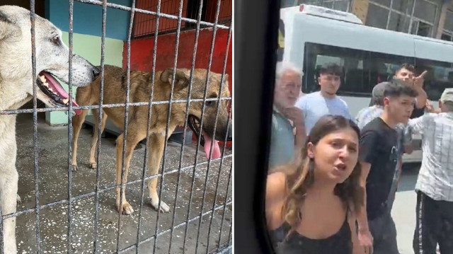 avcilarda iki sokak kopeginin kovaladigi cocuk arabanin altinda kalmaktan son anda kurtuldu ekipler barinapa gotururken mahalleli olay cikardi WAMRyDwg