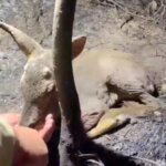 canakkalede yangin kontrol altina alindi EmMUVaKh