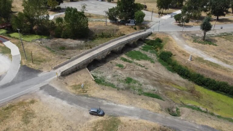 edirnede aycicegi uretimi krizde d5eY32Y4