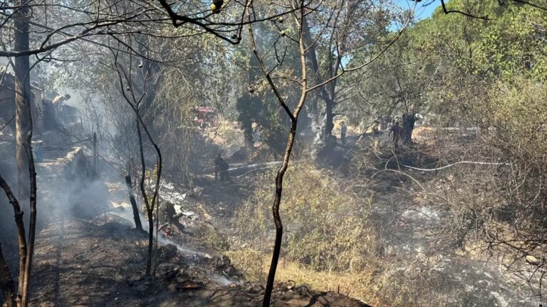 edremitte ortu yangini kontrol altina alindi kT49CMQy