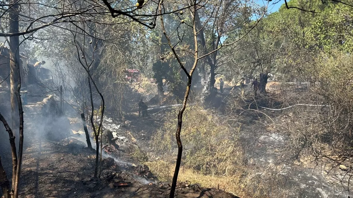 edremitte ortu yangini kontrol altina alindi kT49CMQy