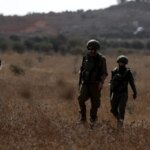 israil bu kez de zeytin agaclarina saldirdi tOmW8GQp