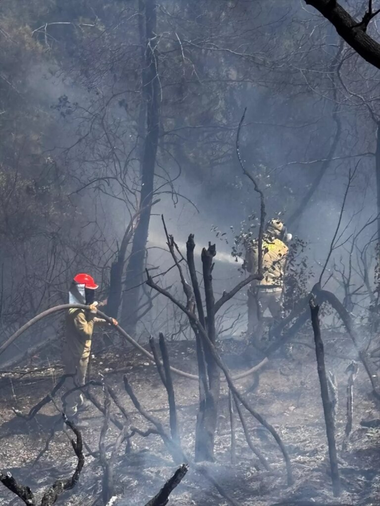 osmaniyede orman yangini kontrol altinda Lqpj6iwW