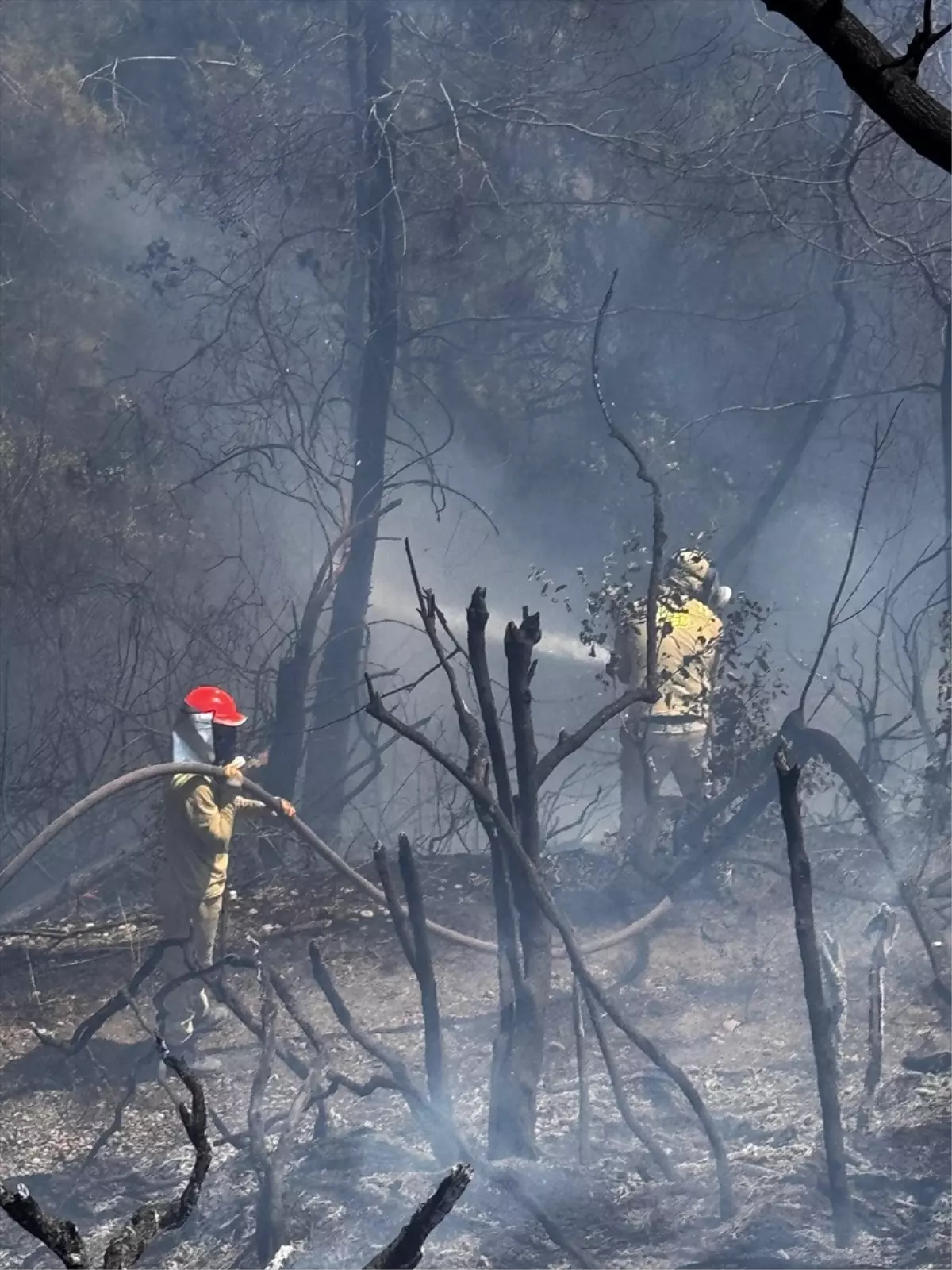 osmaniyede orman yangini kontrol altinda Lqpj6iwW