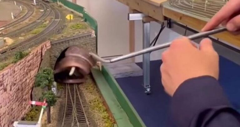 oyuncak trenden zehirli yilan cikti c6yXYijX