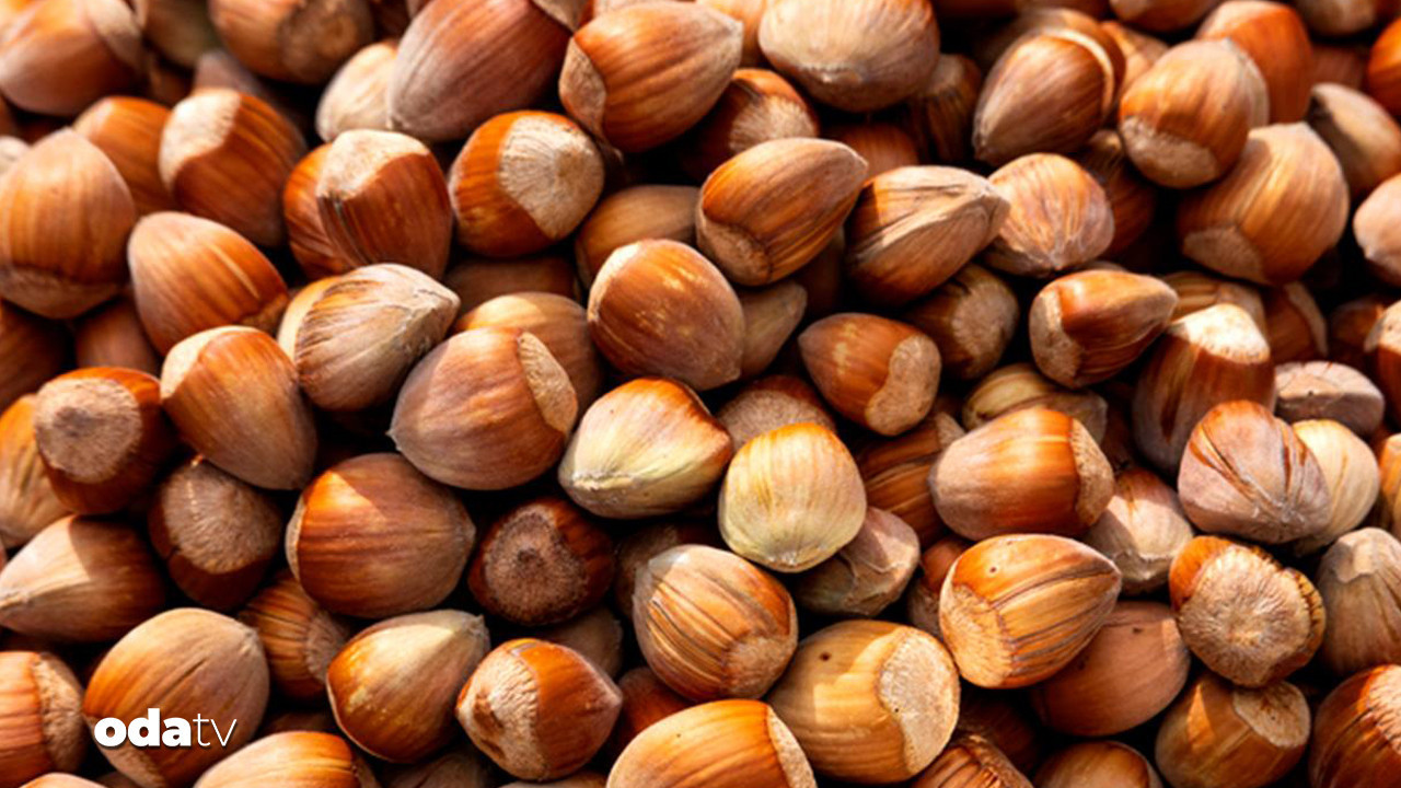 turk findigi almanyayi vurdu Zfsw4E3t