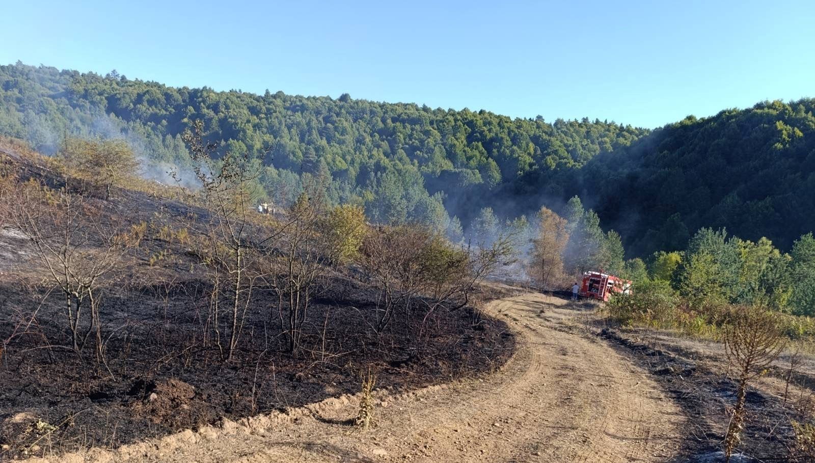 bilecik pazaryeri yangini buyumeden sonduruldu Tiz3w4kW
