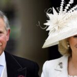 kralice camillanin gencliginde tacize ugradigi ortayi cikti IOqQS5ut