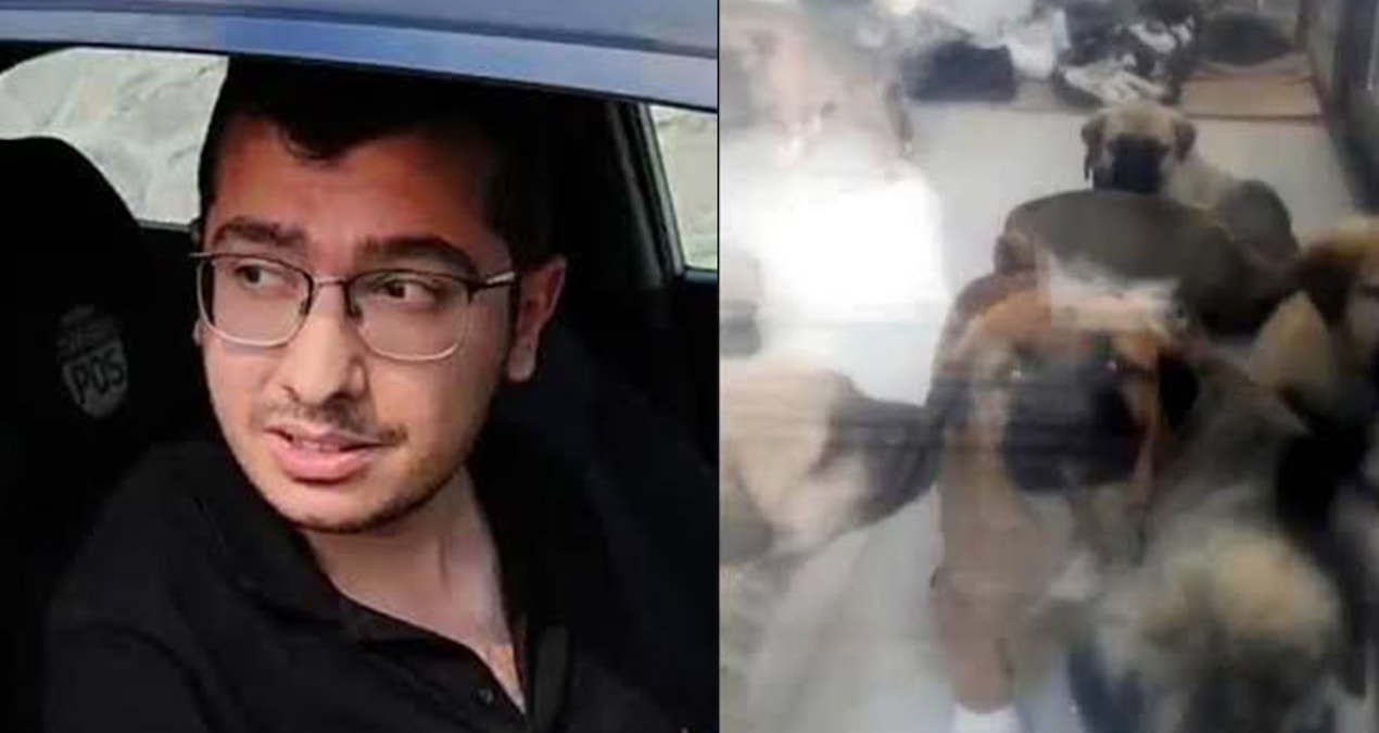 sahiplendigi kopekleri olduren doktor tahliyesiniistedi iNasntq6