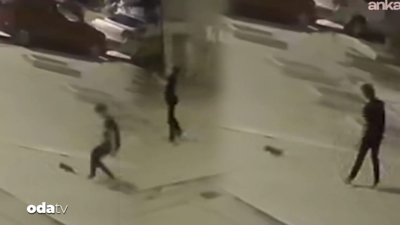 yavru kediyi firlatarak oldurdu hgPq67rx