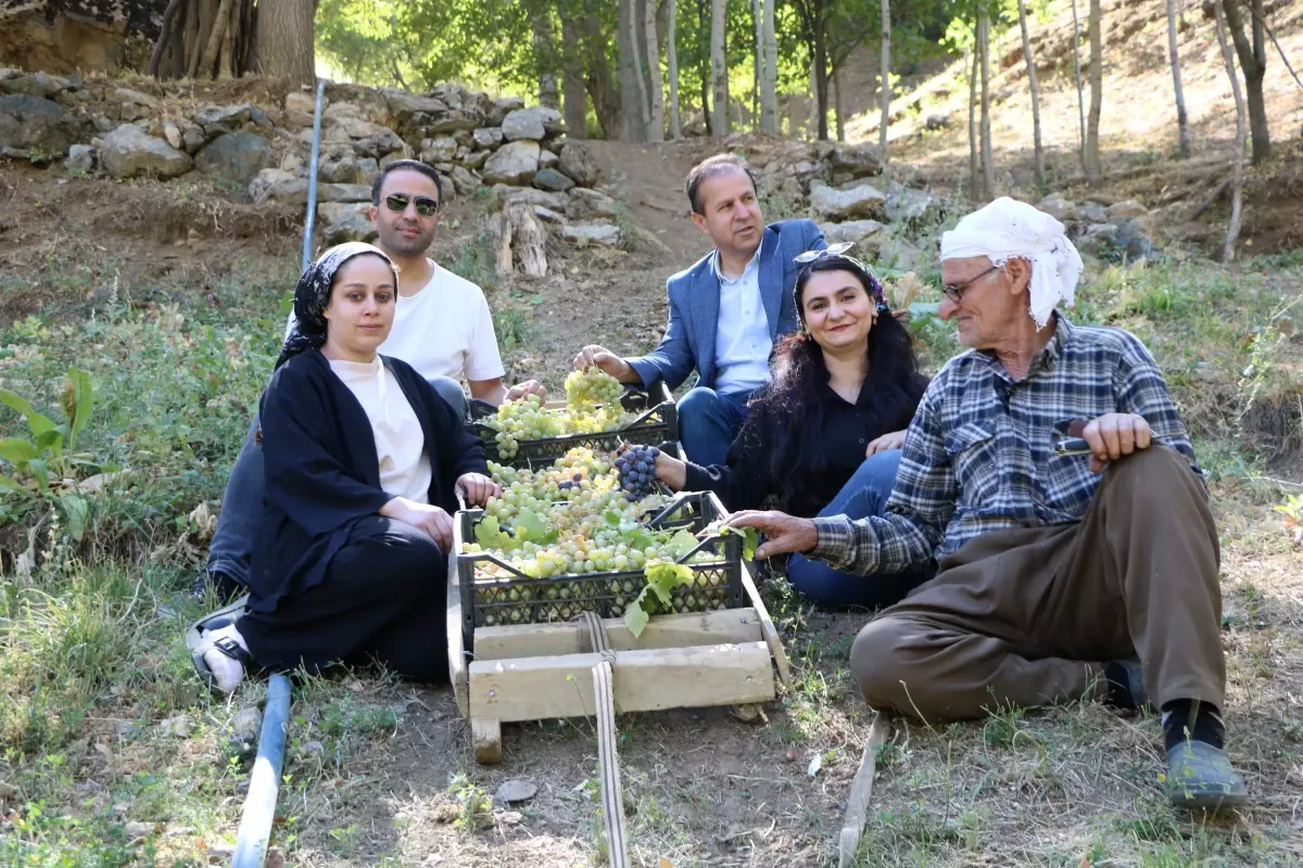 80 yasinda uzum hasadi hzZPOpaJ