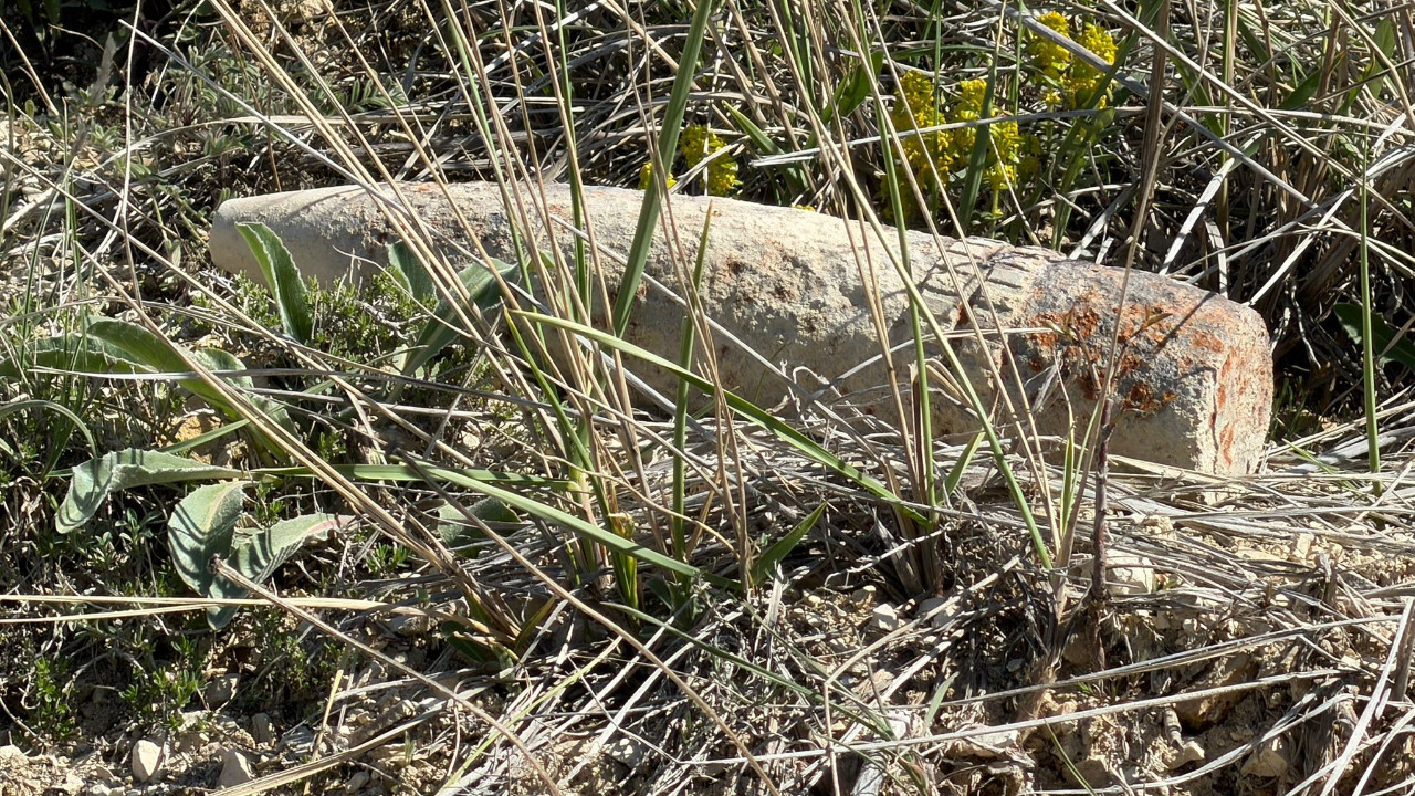 Ankara’da Mantar Toplarken Şoke Eden Buluntu: Top Mermisi