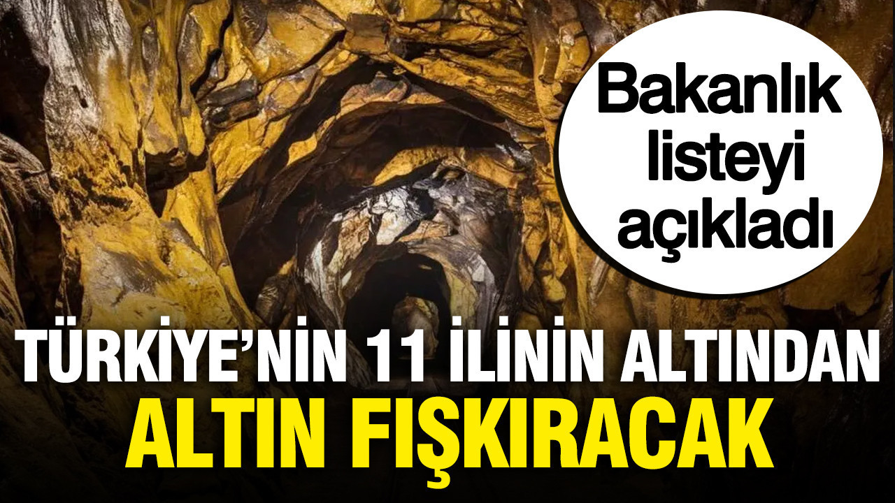 Turkiyenin 11 ilinin altindan altin cikarilacak bakanlik listeyi acikladi jzH6sPfJ